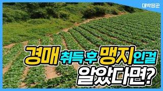 경매 취득 후 맹지인 걸 알았다면? [대박땅꾼/17년 토지 전문가]