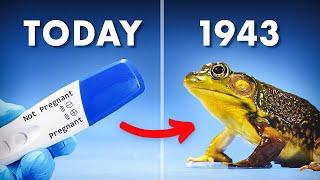 Why Frogs Were Used As Pregnancy Tests