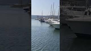 GROUP OF YACHTS|Reynolds Vlog