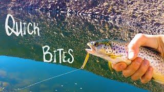 Catching Brown Trout on Kastmasters + Rainbows on Nightcrawlers! | Fishing Pleasant Valley Reservoir