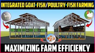 Integrated Goat-Fish Farming and Integrated Chicken-Fish Farming