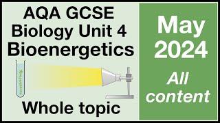 Whole of Unit 4 - AQA GCSE Biology - Bioenergetics