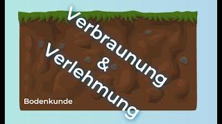 Bodenkunde verstehen – Verlehmung und Verbraunung