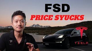 WRONG PRICE! Tesla FSD subscription