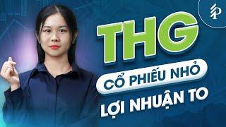 THG: "Trùm" xây dựng Tiền Giang – Cơ hội từ Đầu tư công và Bất động sản?