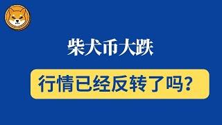 shib币 | 柴犬币 | 屎币 | 3月3日最新行情分析！柴犬币大跌，行情已经反转了吗？