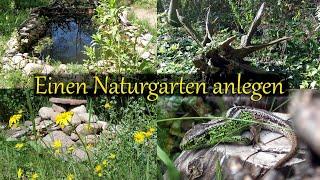 Einen Naturgarten anlegen | Grundlagen für den naturnahen Garten