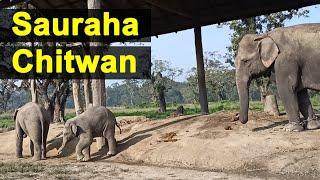 न्ह्याइपुगु साैराह चितवन | Sauraha Chitwan Visit with Family | Nepaami