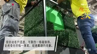 佳岳景觀仿生植栽展場佈置