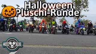 Halloween - Plüschi - Runde 2022 