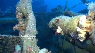 Malta Deep Wrecks / Kriegswracks vor Malta