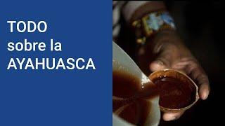 AYAHUASCA: ¿Qué es la ayahuasca y que EFECTOS tiene la ayahuasca? ¿Dónde pruebo la ayahuasca?