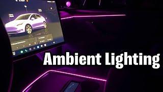 Tesla Model Y/3 Laser Engraved Ambient Lighting Install Tesstudio