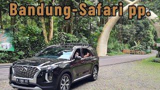 Road Trip Palisade: Bandung - Taman Safari Bogor pp.