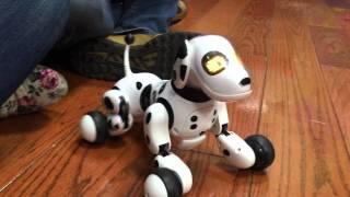 Zoomer perro robot español  de Spin Master  Juegos Juguetes y Coleccionables 