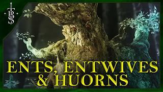 TREEBEARD Was Once Evil?!?  | The Ents, Entwives & The Huorns! | Lord of the Rings