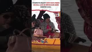 #watch | Tourists enjoy Shikhara rides on Dal Lake in Srinagar amid winter chill