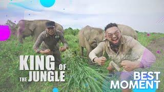 EXPLORE! Taman Nasional Way Kambas LAMPUNG | Best Moment #King Of The Jungle  (11/6/22)