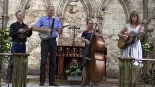 The FOGHORN STRINGBAND, "Trials, Troubles, Tribulations", Westport Folk & Bluegrass Festival 2016