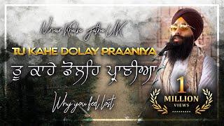 Tu Kahe Dolay Praniyaa | ਤੁ ਕਾਹੇ ਡੋਲਿਹ ਪ੍ਰਾਣੀਆ | Why You Feel Lost | Soothing Gurbani Kirtan | NKJ