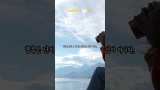 쇼펜하우어 인생 명언