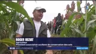 Journal France Midi-Pyrénées | France 3 Occitanie