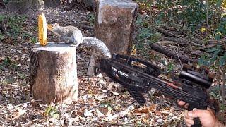 Squirrel Hunting with a Mini Striker Pistol Crossbow
