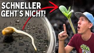 Quickly germinate seeds for 0 euros  Together Grow Episode 1