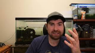 HOW LONG TO MAKE AUTFLOWER SEEDS? Auto Q&A Series