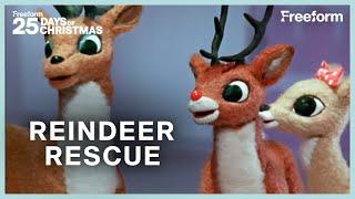 Reindeer Rescue | Rudolph the Red-Nosed Reindeer | Freeform