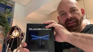 An Audiophile in Seattle "I Brought A Blue Dragonfly Home For My HD 600s!"