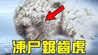 全球首個“劍齒虎”冰凍僵屍出土！王者基多拉的性別挑戰了物種命名規則？丨朝化析拾24丨黑毛羊駝