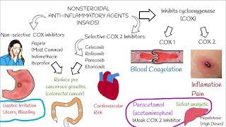 Understanding  Non-Steroidal Anti-Inflammatory Drugs (NSAIDs)  in 3 minutes.