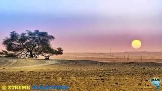 Tree of Life, Bahrain | Shajarat-al-Hayat