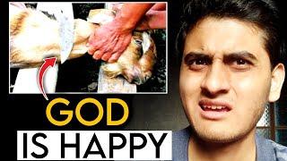 God is happy when you kill animals ?  - Moin ( Hindi )