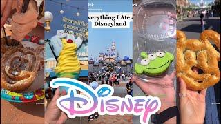 The Best Compilation of Food at Disneyland in Tiktok | VM - Tiktok