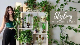 Styling My Plant Shelf | Houseplant Decor