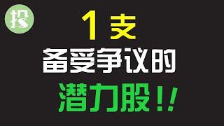 市场上最具争议的股票！没有之一！买还是不买？【2021.03.14】| Palantir PLTR 深度分析 | #PLTR