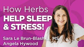 Herbs for Stress, Sleep, and Nervous System Health | Wholistic Matters Podcast | Special Series