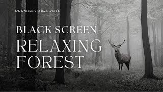 RELAXING FOREST  l  Black Screen  l  10 Hours of Relaxing Nature Sounds for Sleep