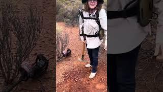 Beginner finds monster gold nugget at Kalgoorlie Western Australia