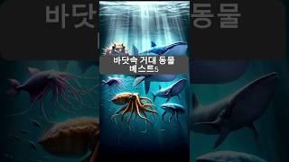 바닷속 거대 동물 베스트 5 #바닷속동물 #동물