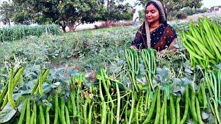 गर्मियों में बोड़ा की चटपटी और मसालेदार सब्जी खाने को मिल जाये तो लोग दो की जगह 4 रोटियां खा जाते हैं