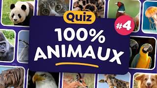 QUIZ 100% Animaux #4   - 30 Questions