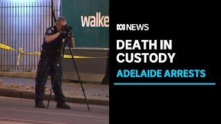 Man dies during arrest following fight in Adelaide CBD | ABC News