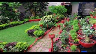 My Garden View in rainy day .