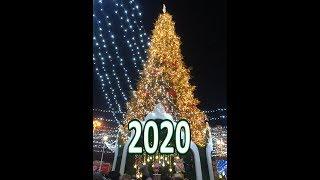 Новогодняя елка в Киеве 2020/KIEV Ukraine Christmas tree 2020