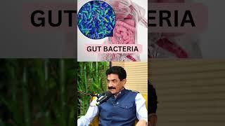 Your gut and brain are in constant communication | Ram Verma NLP Man of India Since 1993