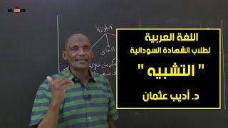 اللغة العربية | التشبيه | د. أديب عثمان | حصص الشهادة السودانية