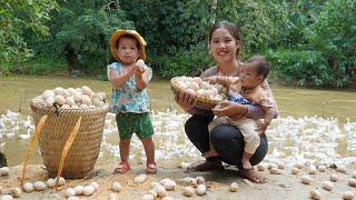 60 days and nights with my children catching giant fish, frogs, and duck eggs to sell at the market